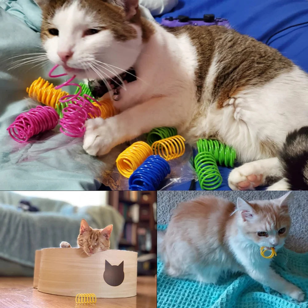 Interactive Colorful Cat Spring Toys – Flexible Spiral Coils