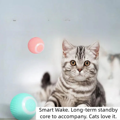 Automatic Rolling Cat Ball Toy – Interactive Self-Moving Toy for Indoor Cats