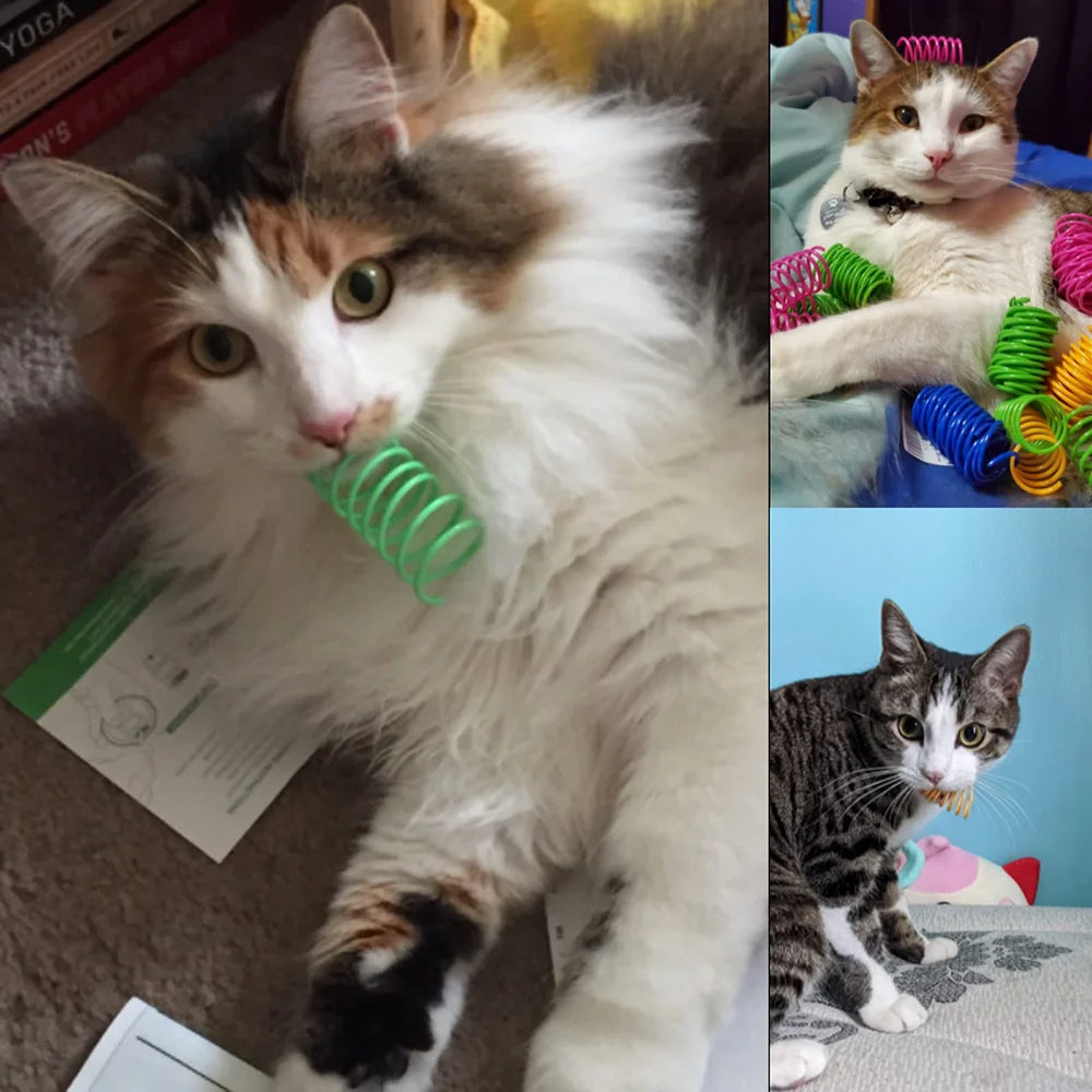 Interactive Colorful Cat Spring Toys – Flexible Spiral Coils
